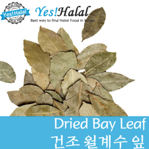 Yes!Global 월계수잎/Bay Leaf/Bay leaves/Daun Salam (Indonesia 50g), 1개, 50g