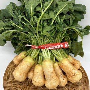 알타리무 3단 8kg내외 총각무 초록 무우 판매 진맛깔, 1개, 8kg