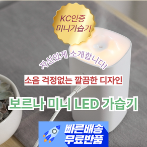 보르나 미니 LED 가습기 무소음 편리한 차량용 조용한 아늑한 조명