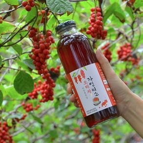 자연미소 문경 오미자청 500ml (비정제원당), 1개입, 1개