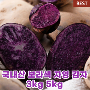 국내산 국산 자색 자영 감자 3kg 5kg 싱싱한 컬러 감자 보라색 홍영 감자 햇 감자 제철음식 찜용 간식용 생 감자