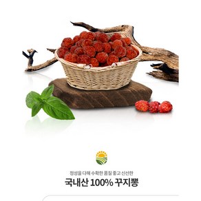 꾸지뽕열매 꾸지뽕 꾸지뽕5kg, 1개, 5kg