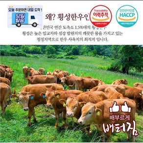 (당일출돼지) (이벤트 상품) 통 횡성 한우 소머리 한마리 18kg내외