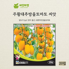 세계종묘 주황대추 방울토마토 씨앗 20립, 1개