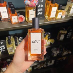 러쉬 러스트 퍼퓸 향수 100ml, 1개