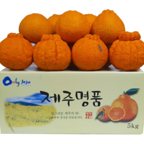 15bix 초고당도 선별 제주 한라봉, 1박스, 5kg(중과)