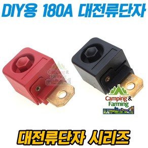 DIY용 180A 인버터 파워뱅크 대전류단자 M6 흑/적선택, 1개