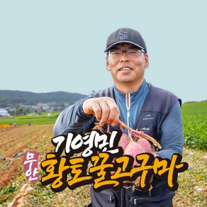 [착한농부] 기영민 무안 황토땅 꿀고구마 10kg #이렇게 달수가, 소 10kg (40-90g이내), 1박스