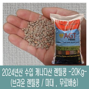 [다온농산] 수입 캐나다산 렌틸콩 -20Kg- 브라운/렌즈콩/PP곡물쌀마대, 1개, 20kg