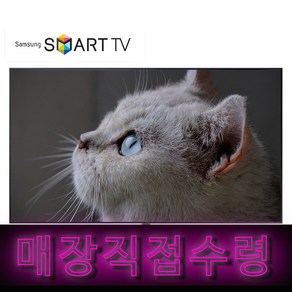 익스코리아 4K UHD LED 구글 안드로이드9 TV, 127cm(50인치), SGA50UEX1, 스탠드형, 고객직접설치