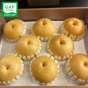 고당도 GAP 프리미엄 나주배 특품 선물세트, 1박스, 5kg (8-10과)