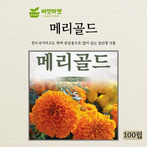 다농 메리골드 아프리칸 씨앗 100립, 1개