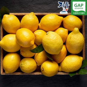 제주 GAP 인증 제주레몬, 1박스, 4.5kg, 제주레몬 4.5kg(가정용 중품)