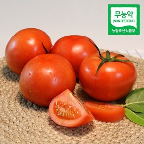 (산지직송) 친환경 봄춘 무농약 완숙 토마토, 5kg(소과), 1개