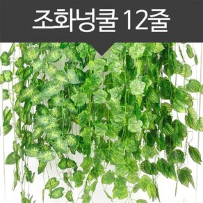 미리내 넝쿨-줄리아페페 1세트(12줄)