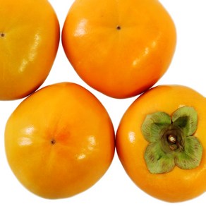 단감아빠 황현성농장의 고당도 창원 단감 5kg 10kg, 소과 (30~35개), 1박스