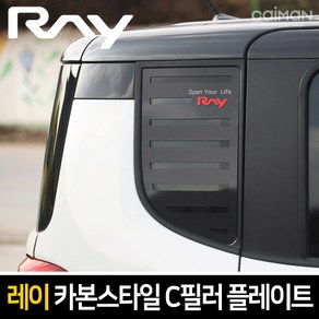 순정형 호환가능 카이만 카본스타일 C필러 스포츠 플레이트 - 레이, 레이