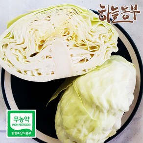 하늘농부 친환경 양배추, 1개, 양배추(1kg 이상)