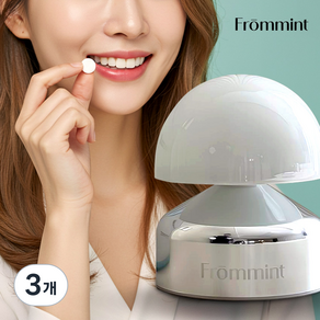 [프롬민트] 울트라민트 프리미엄 구강케어 씹는 자연유래 고체치약 기본형 100정, 70g, 3개