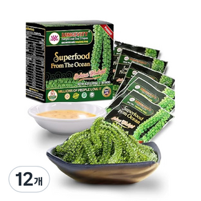 아마존 베스트셀러 판매1위 바다포도 1box(개별포장 x 6ea) 베트남 LONGEVITY Sea Gapes 우미부도 geen cavia, 20g, 12개