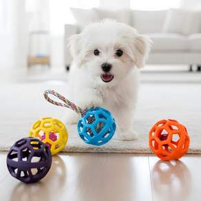 샤샤픽 튼튼한 강아지 장난감 공, 1개, 3종