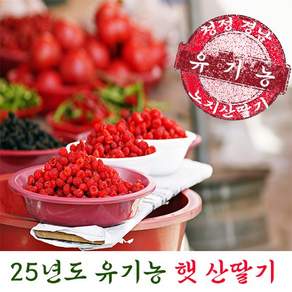 2025년 유기농 햇 산딸기 (청정 경남 밀양 노지 산딸기), 1개, 500g