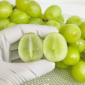 한정특가 당도보장 씨없는 애플청포도 오톰크리스피, 1박스, 1kg