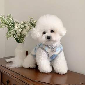 투니스 강아지 고양이 겸용 플라워 뽀글이 조끼, 1개, 블루