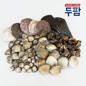 두팜 모듬조개 가족세트 4kg내외 3~4인분 내외, 가족세트 4kg, 1세트