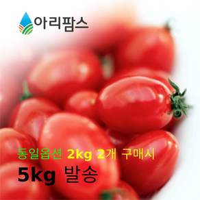 (농가좀 도와주세요) 대추방울토마토 2kg 2개구매시 5kg 발송, 1개, 01. 방울토마토 2kg(소과)