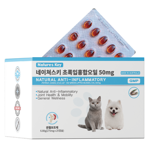 네이쳐스키 강아지 고양이 관절영양제 초록입홍합오일 50mg 25캡슐, 1개