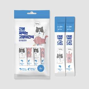 [초특가] 4개세트 근본 짜먹는 고양이 간식 참치&연어 (4입), 4개