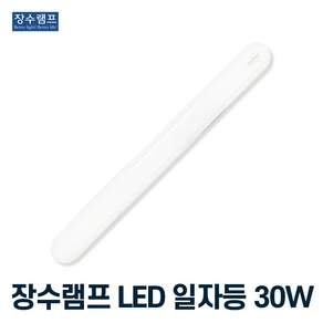 장수램프 LED 등기구 형광등 일자등 30w 주광색 흰빛, 장수램프 일자등 30w 주광색