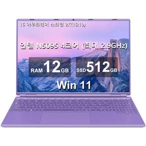 16 노트북 12GB+512GB 인텔 N5095(최대 2.9Ghz) 4코어 Win 11 2.5K FHD 스크린(냉각팬 포함) 듀얼 WiFi 지원 1TB SSD 확장-보라, WIN11 Pro, 보라, 12GB, 512GB, A6