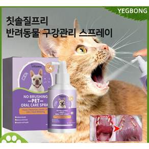 고양이 치석 JST02, 1개, 50ml