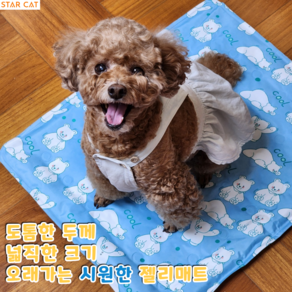 강아지 방수 쿨매트 방석 고양이 쿨매트 푹신한 아이스 쿨방석, 하늘색, 1개