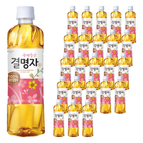 웅진 광명찾은 결명자차, 500ml, 24개