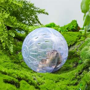 오브리가도만물상 햄스터 운동볼 햄스터헬스볼