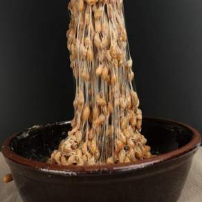 청국장찌개가 맛있는 냄새안나는 무염 생 청국장 향시500g, 1개, 500g