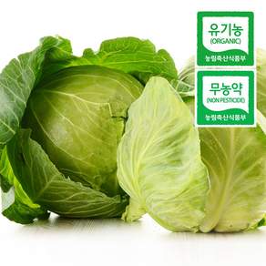 친환경 무농약 유기농 양배추 3kg 5kg, 무농약 양배추 3kg 내외, 1개