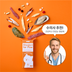 고양이 올인원 영양제 스탠다드 포포우, 1세트, 종합영양제, 10회분