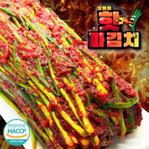 오마이찬 매운 실비파김치 - 전라도식 당일제조 불맛 가득 파김치, 1개, 500g