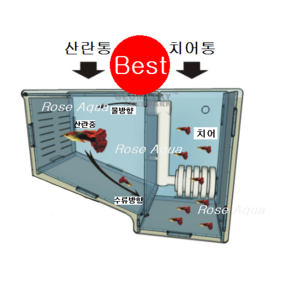 [아쿠아공구몰] 치어통 프로박스 구피치어통 부화통 ProBox-3 구피 안시 코리 베타 열대어, 4.걸이식, 1개