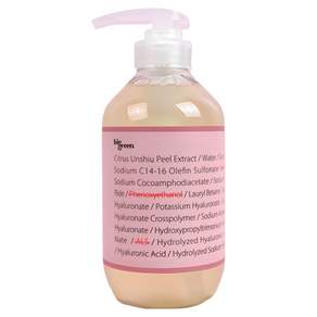 빅그린 임산부 바디워시 500ml, 1개