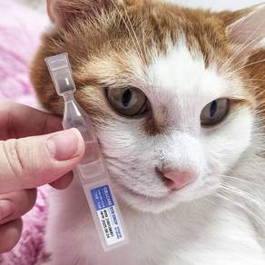 국내최초 고양이 전용 일회용 인공눈물 눈곱 이물질 제거 안구보습, 30개, 1ml