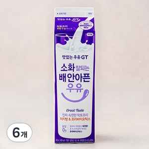 맛있는우유GT 소화 잘되는 배 안아픈 락토프리우유 저지방 & 프리바이오틱스, 900ml, 6개