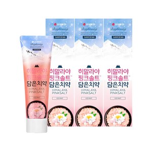 히말라야핑크솔트 담은치약 브라이트닝, 100g, 3개