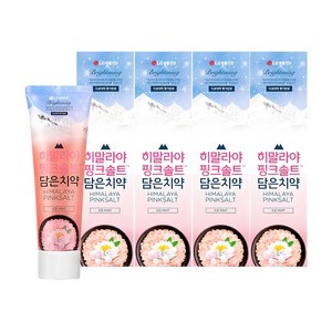 히말라야핑크솔트 담은치약 브라이트닝, 100g, 4개