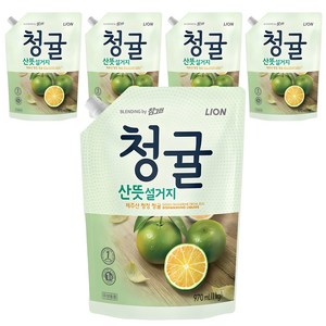 참그린 청귤 산뜻 설거지 주방세제 리필, 1kg, 5개