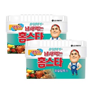 홈스타 냉장고용 탈취제 유칼립투스 본품, 420g, 2개